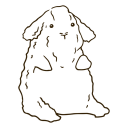 Conejillo de indias - 10 Diseño PNG