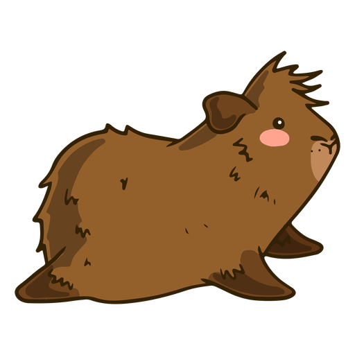 Brown guinea pig laying color stroke