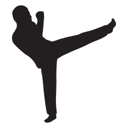 Karate man fighting silhouette Transparent PNG