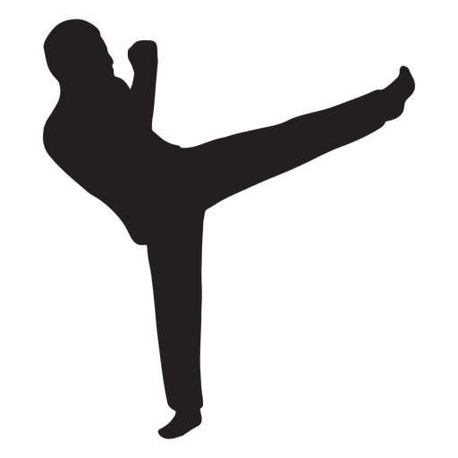 Karate man fighting silhouette
