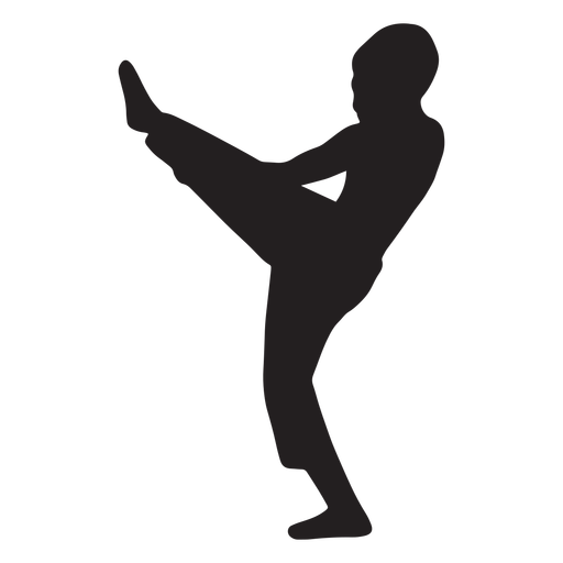 Karate-Person, die Silhouette tritt