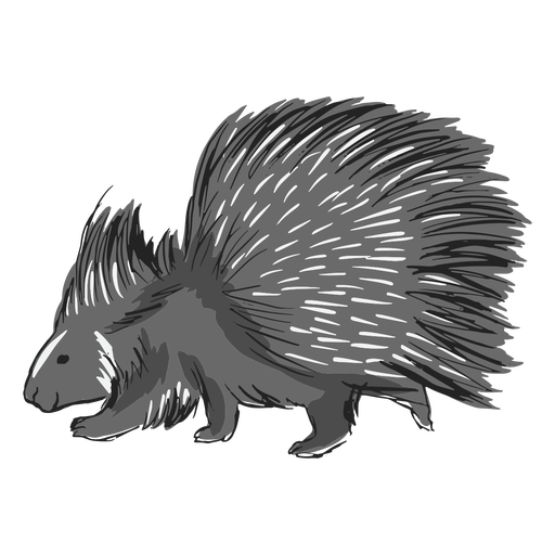 Cute porcupine animal color stroke