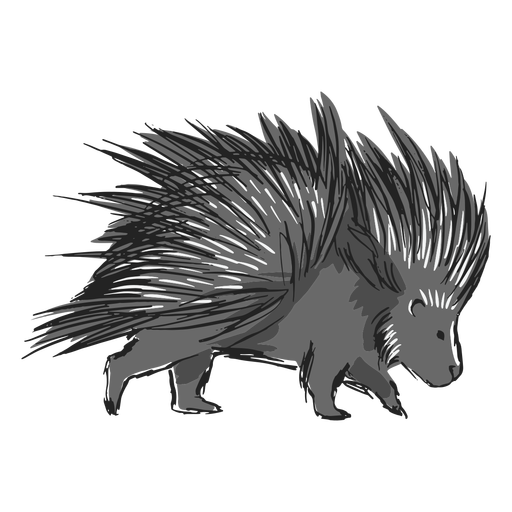 Porcupine walking color stroke