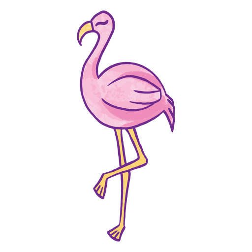 Flamingo color stroke PNG Design