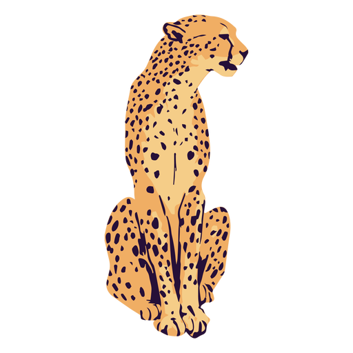 AnimalPrint - 8 Desenho PNG