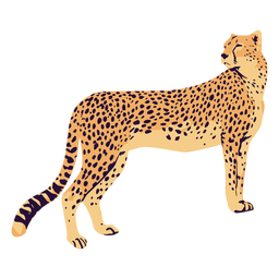 Cheetah Animal Standing Semi Flat Transparent Png Svg Vector