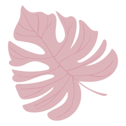 Pink monstera leaf semi flat