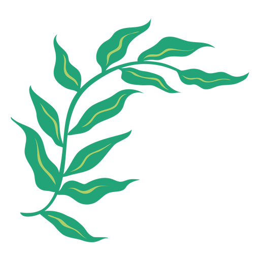 Fern leaves semi flat