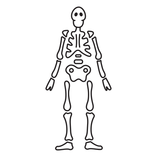 Full skeleton stroke PNG Design