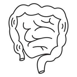 Anatomy-Organs-NotebookContour-VinylStroke - 2 Desenho PNG