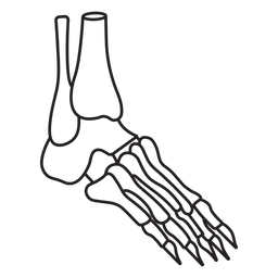 Skeleton foot profile stroke PNG Design