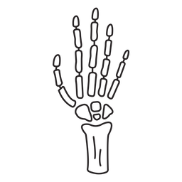 Anatomie-Organe-NotebookContour-VinylStroke - 4 PNG-Design