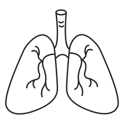 Anatomy-Organs-NotebookContour-VinylStroke - 8 Desenho PNG