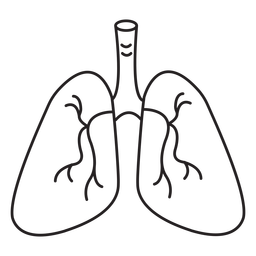 Respiratory system stroke Transparent PNG
