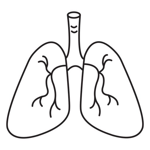 Respiratory system stroke PNG Design