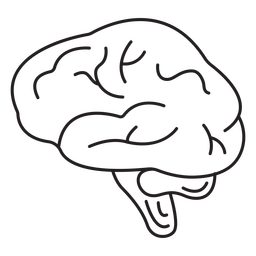 Brains Stroke PNG & SVG Design For T-Shirts