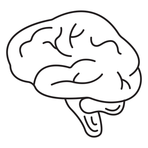 Brains stroke  PNG Design