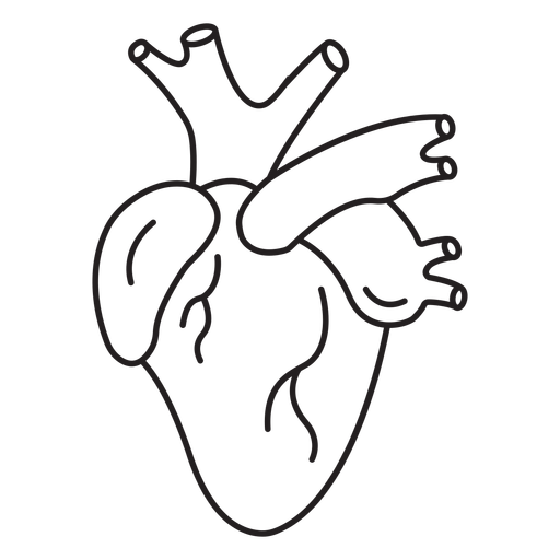 Anatomy-Organs-NotebookContour-VinylStroke - 10 Desenho PNG