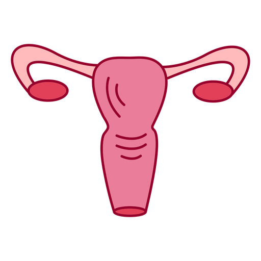 Female reproductive system color stroke