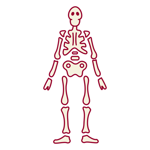 Skeleton color stroke PNG Design