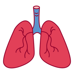 Lungs color stroke Transparent PNG