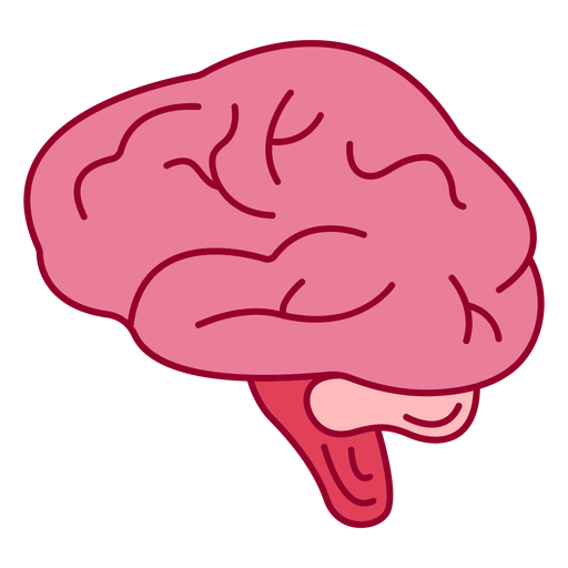 Side view brain color stroke PNG Design