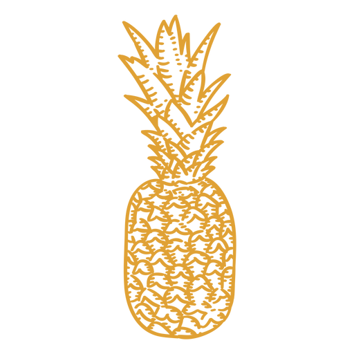 Pineapple hand drawn stroke