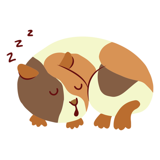 Sleeping guinea pig flat