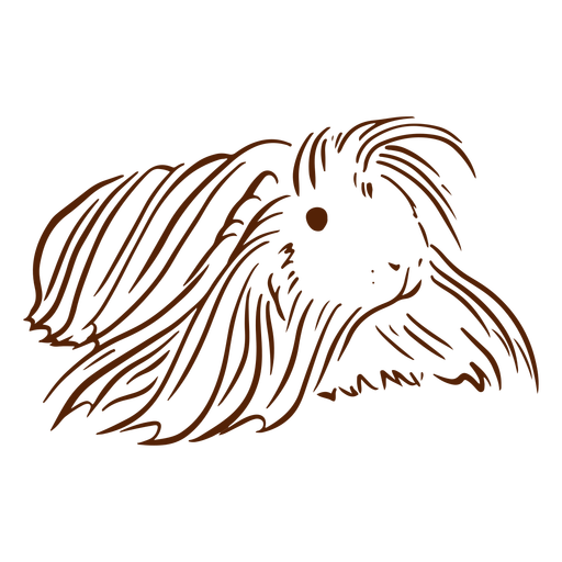 Meerschweinchen handgezeichnet - 0 PNG-Design