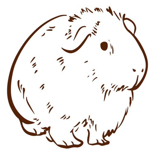 Meerschweinchen handgezeichnet - 2 PNG-Design