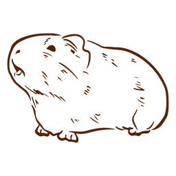 Side Guinea Pig Doodle PNG & SVG Design For T-Shirts