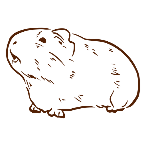 Meerschweinchen handgezeichnet - 3 PNG-Design