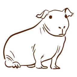 Skinny guinea pig doodle PNG Design
