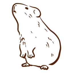 Dibujado a mano conejillo de indias - 8 Diseño PNG