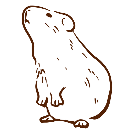 Guinea pig almost standing doodle PNG Design