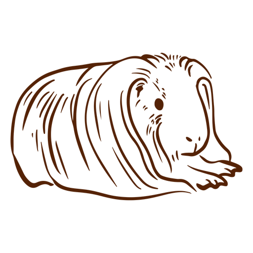 Long haired guinea pig doodle PNG Design