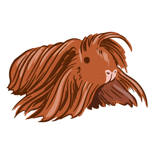 Long haired guinea pig illustration PNG Design