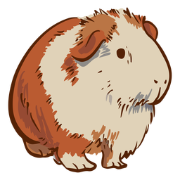 Guinea Pig Illustrations Png Digital Download,Guinea Pig Png,Printable ...