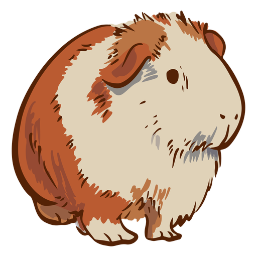 Semi frontal guinea pig illustration