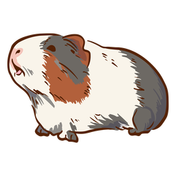 Side guinea pig illustration Transparent PNG