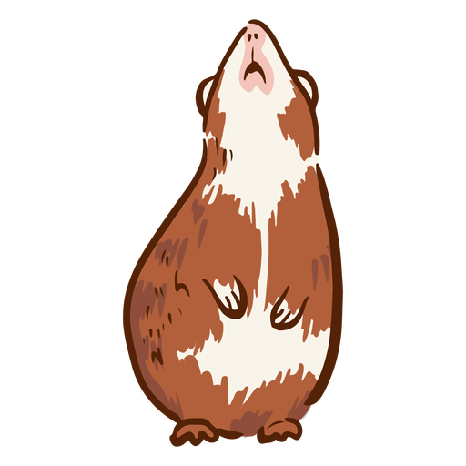 Standing guinea pig illustration