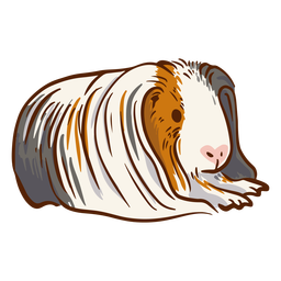 Guinea pig long hair illustration Transparent PNG