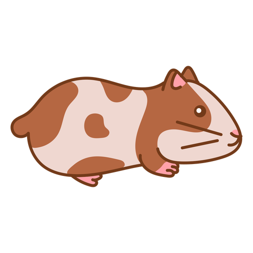Side cute hamster color PNG Design