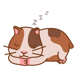 Sleeping cute hamster color Transparent PNG