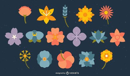 Botanisches Flachset mit minimalen Blumen