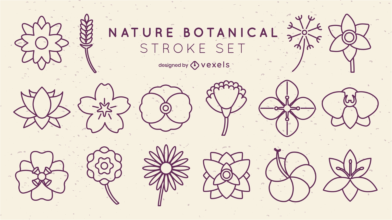 Minimal flowers botanical stroke set