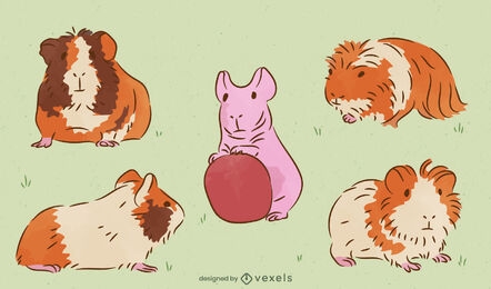 Conjunto de animais de estimação de porquinhos-da-índia