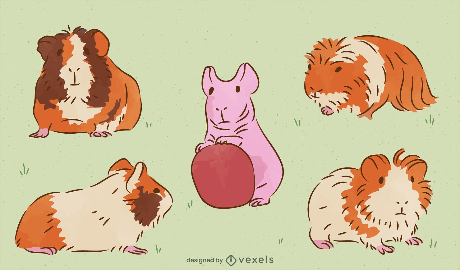 Conjunto de mascotas animales conejillos de indias