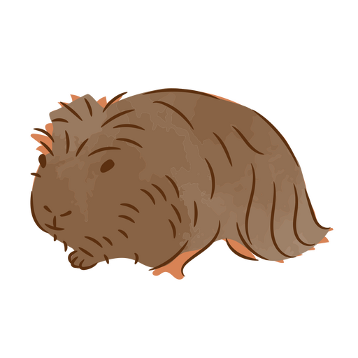 Fluffy guinea pig semi flat PNG Design