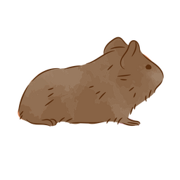 Cute guinea pig semi flat PNG Design